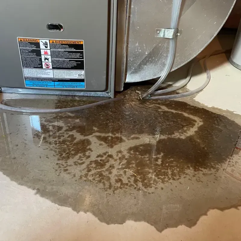 Appliance Leak Cleanup in Swain County, NC